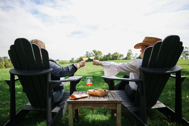 Harkness Vineyards