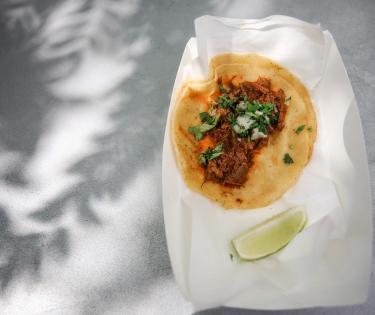Taco on Tour