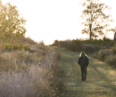 Grass Walkway