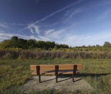 Bench at Hisle Park