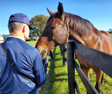 Feed Horses Peppermints