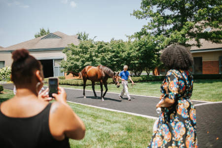 Horse farm tour