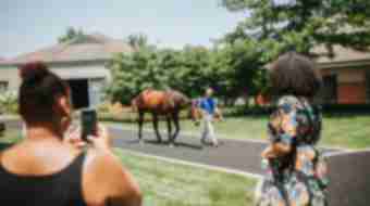 Horse farm tour