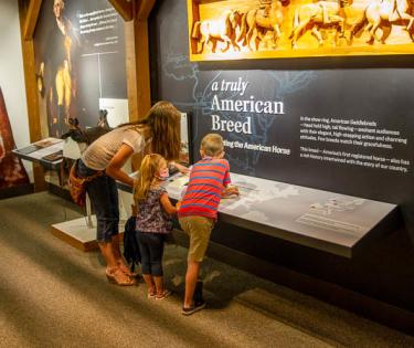 American Saddlebred Museum History Wing 1