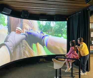 American Saddlebred Museum History Wing 2