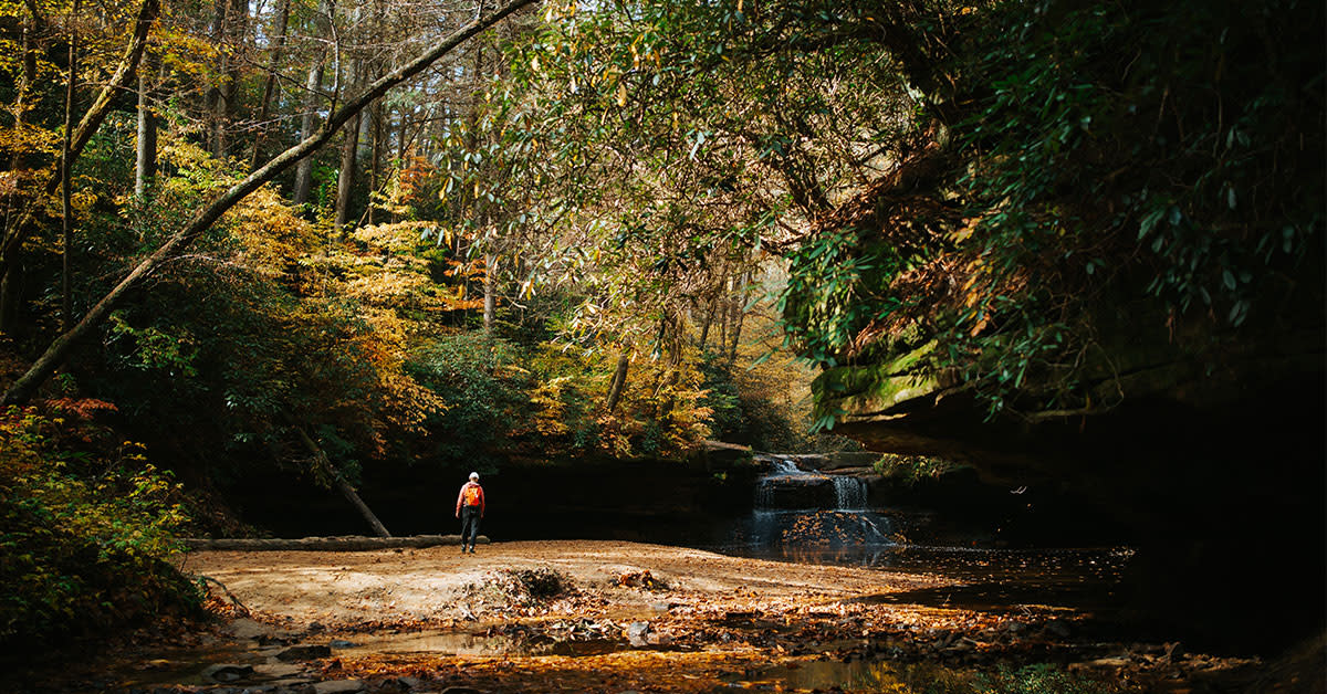 Nature scene with person wading in a creek at Red River Gorge.