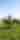Millridge-Farm-39