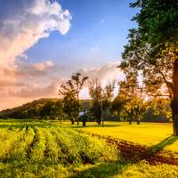 Rural Kentucky Farmland.