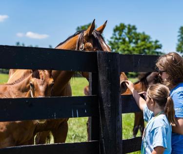 Spendthrift Pets