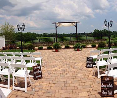 Paddock Wedding