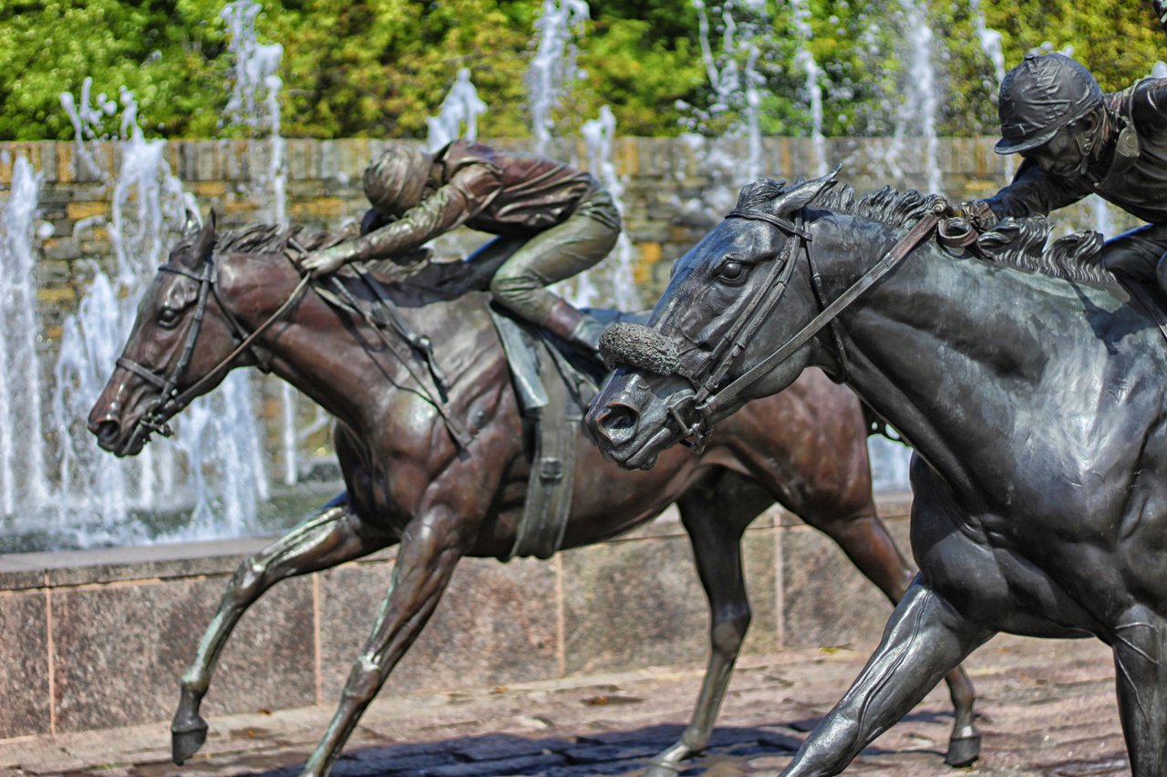 Thoroughbred-Park---Up-Close-of-Horses-Racing-medium
