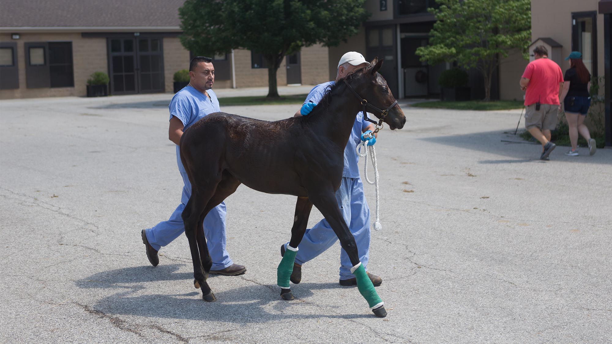 VisitLex_HorseFarmSelects_039