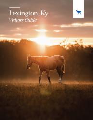 Spring Digital Guide