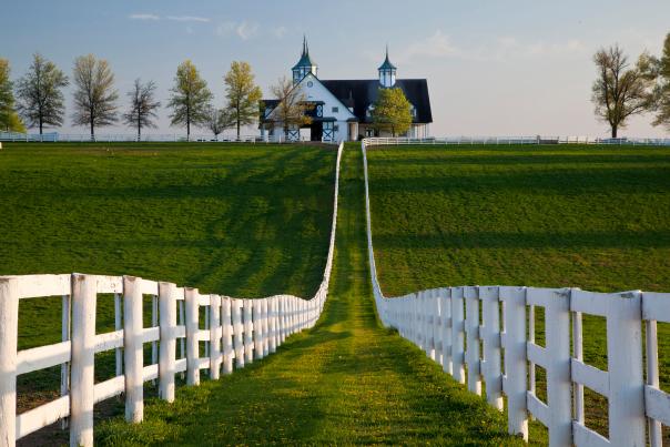 White fence leading up to Manchester Horse Farm.