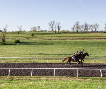 WinStar Training