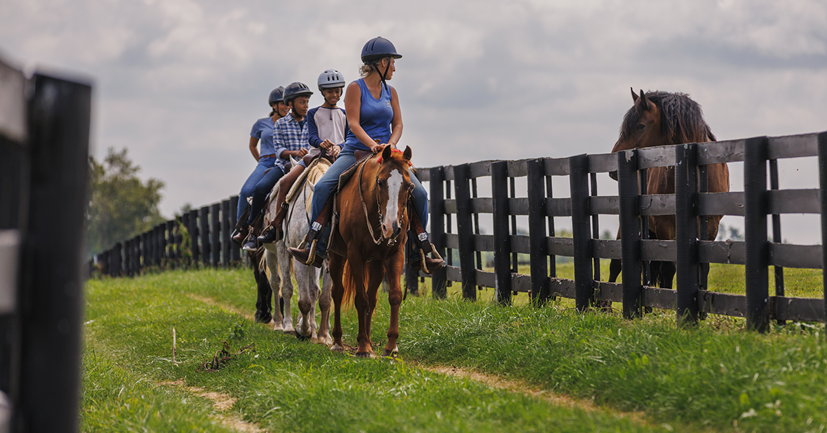 Horse Country