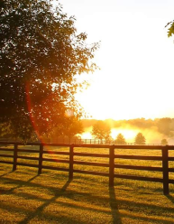 Farm Land